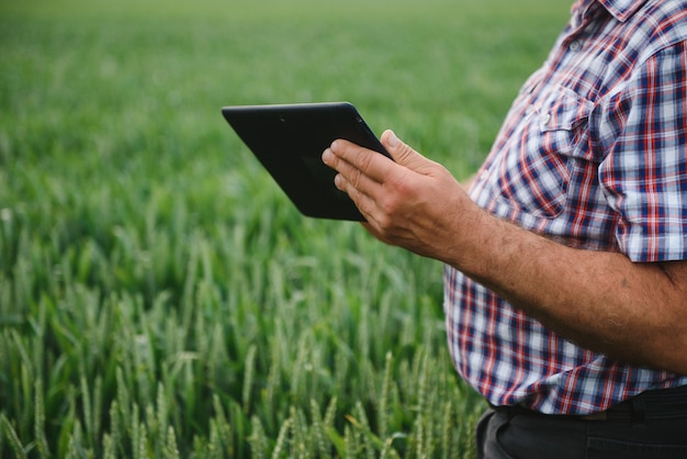 Mani dell'agricoltore senior che tengono tablet