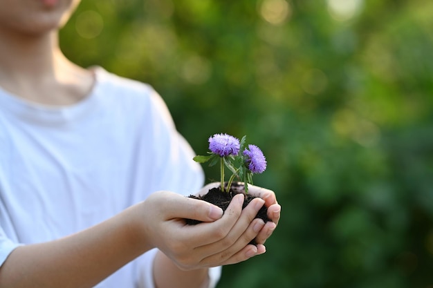 Mani della bambina che tengono la pianta nelle mani contro lo sfondo verde sfocato della natura Concetto di salvare la giornata mondiale della terra