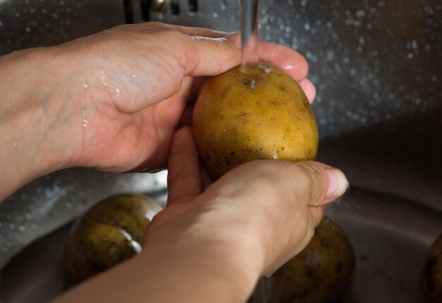 Mani della donna che tengono una patata sporca nel lavandino sott'acqua per la pulizia prima della sbucciatura