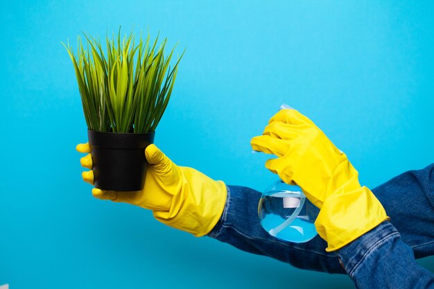 Mani di donna che spruzzano foglie di pianta verde con acqua.