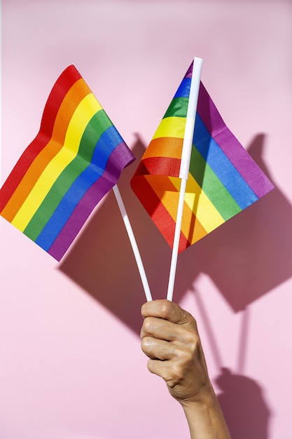 Mani di donna con bandiera LGBT su sfondo rosa