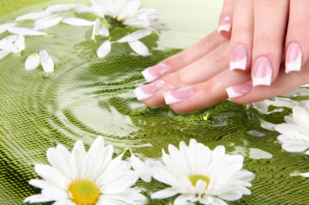 Mani di donna con french manicure e fiori in una ciotola verde con acqua