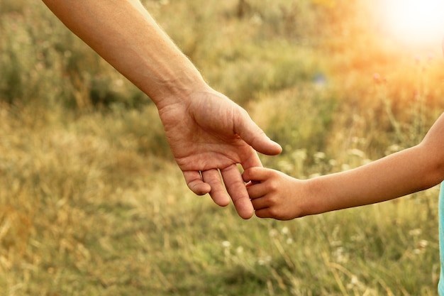 Mani di genitore e bambino in natura