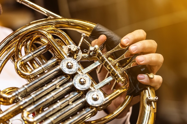 Mani di strumento di corno francese che suonano un suonatore di corno nell'orchestra filarmonica