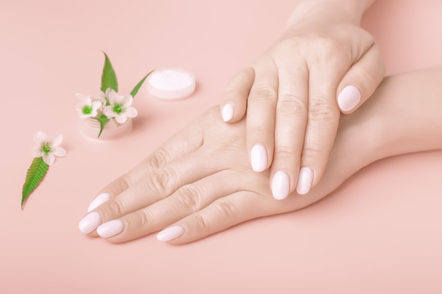 Mani di una bella donna su uno sfondo rosa pesca. Mani delicate con manicure naturale, pelle pulita. unghie bianche.