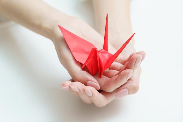 Mani di una donna con origami