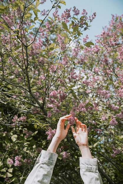 Mani femminili alzate davanti all'albero in fiore