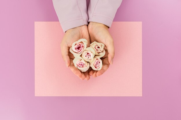 Mani femminili che danno fiori rosa