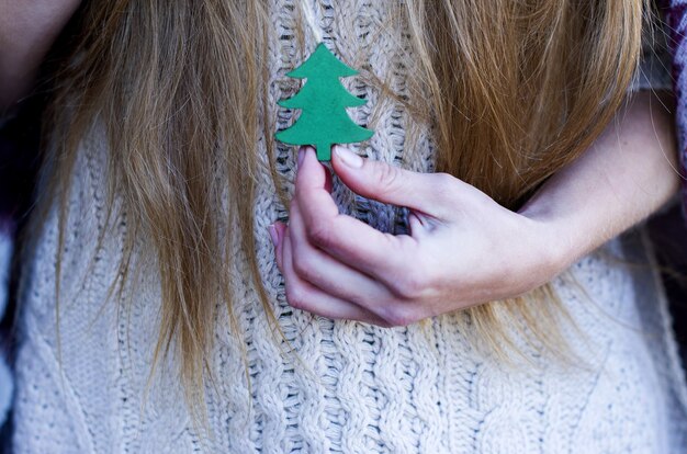 Mani femminili che tengono un piccolo albero di Natale in legno verde