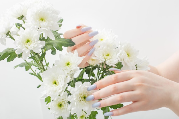 mani femminili con bella manicure e fiori di crisantemo