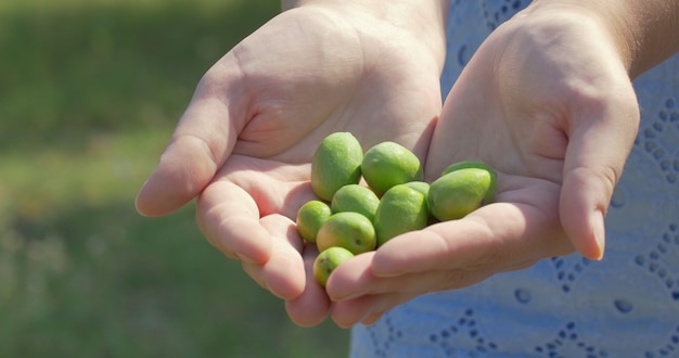 Mani femminili con olive verdi