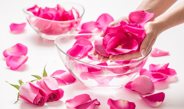 Mani femminili e ciotola di acqua termale con petali e rose rosa.