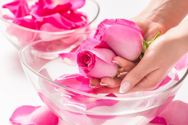 Mani femminili e ciotola di acqua termale con rose e petali rosa