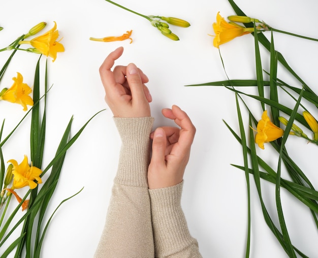 Mani femminili e gigli fioriti gialli