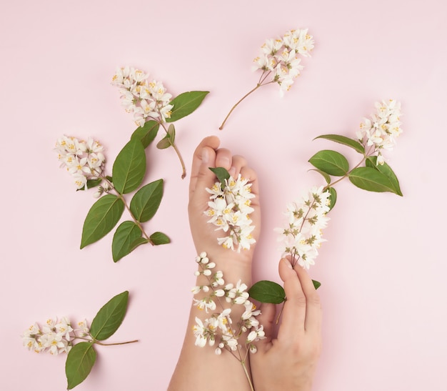 Mani femminili e piccoli fiori bianchi rosa