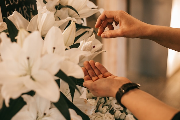 Mani femminili prendersi cura del giglio bianco. Lavoro di fiorista. Hobby e concetto di piccola impresa