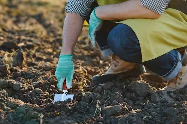 Mani guantate e pale spalano il terreno Una mano in un guanto da giardinaggio bianco funziona con uno strumento