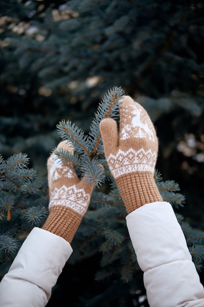 Mani in guanti lavorati a maglia. Stile di vita invernale. Indossa eleganti vestiti caldi. Donna in abiti caldi