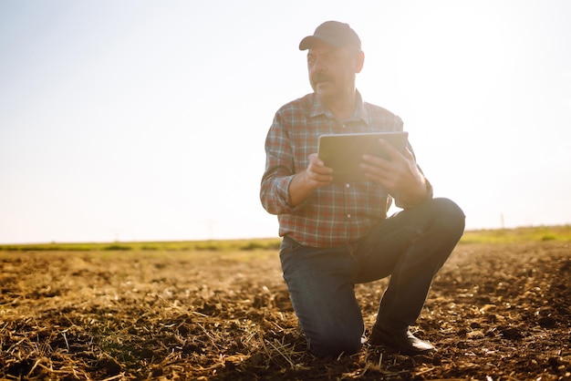 Mani maschili che toccano il suolo sul campo Mano esperta dell'agricoltore che controlla la salute del suolo Concetto di ecologia