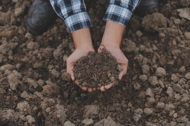Mani maschili che toccano il suolo sul campo Un agricoltore controlla la qualità del suolo prima della semina Agricoltura giardinaggio o concetto di ecologia
