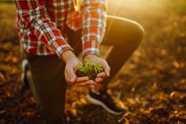 Mani maschili che toccano il terreno sul campo Mano esperta dell'agricoltore che controlla la salute del suolo prima della crescita del seme