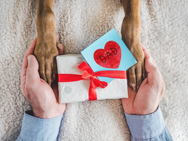 Mani maschili delle zampe del cane e confezione regalo