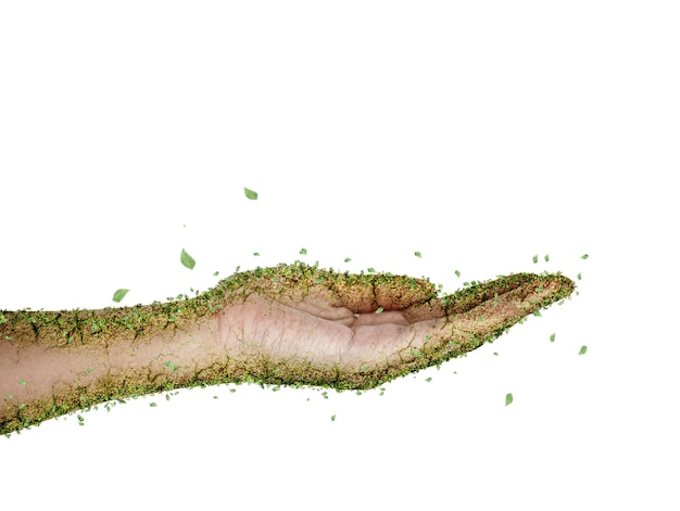 Mani ricoperte di foglie verdi per Save the world Concept o Sustainable Concept