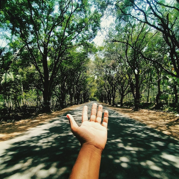 Mani tagliate che fanno gesti contro gli alberi