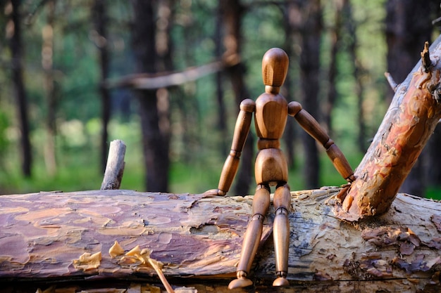 Manichino di legno è seduto albero caduto nella foresta