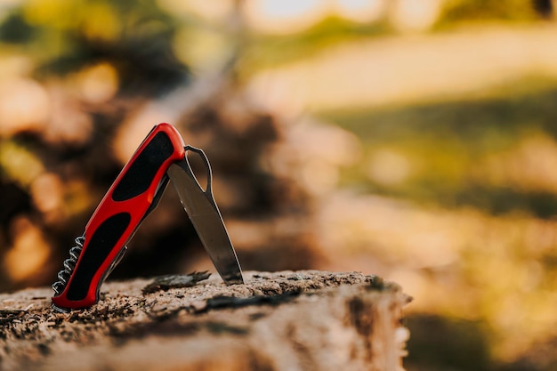 Manico in alluminio su legno in natura Coltello tascabile multiuso su legno