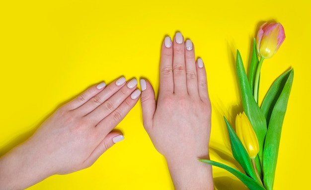 Manicure femminile su uno sfondo luminoso. Sfondo giallo con tulipani. Banner.