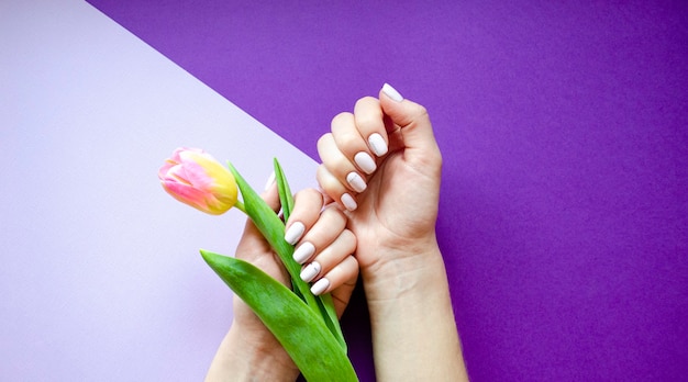 Manicure femminile su uno sfondo luminoso. Sfondo viola con fiori. Banner.