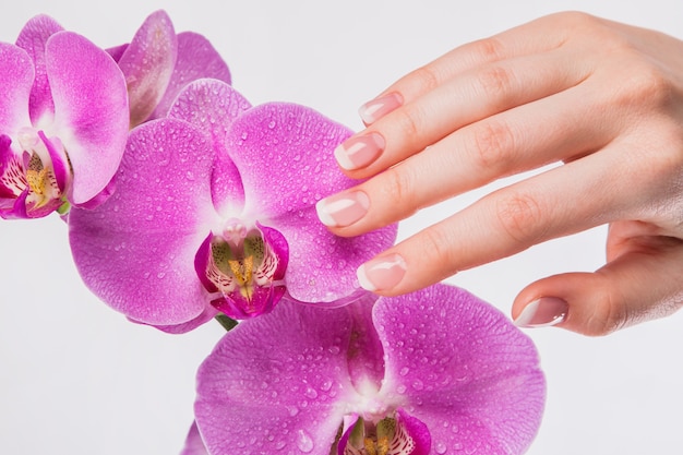 Manicure francese e fiore di orchidea