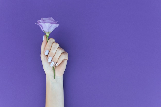 Manicure viola su uno sfondo semplice con un fiore