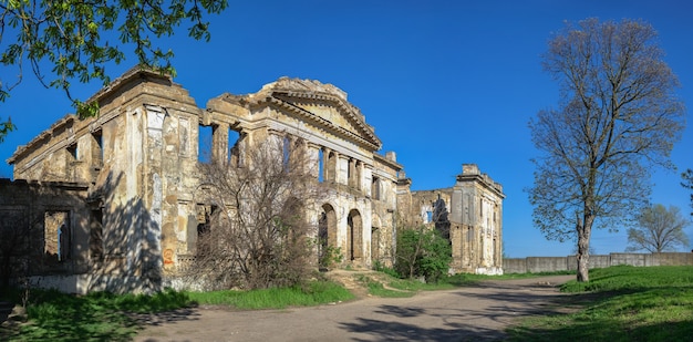 Maniero abbandonato di Dubiecki o maniero di Pankejeff dell'uomo del lupo nel villaggio di Vasylievka, regione di Odessa, Ucraina