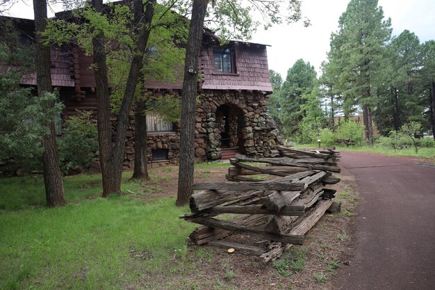 Manison Riordan a Flagstaff in Arizona