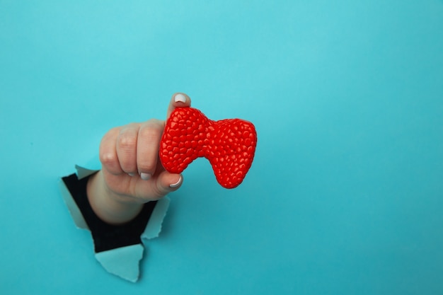 Mano che mostra una tiroide da un buco strappato nel muro di carta blu. Pubblicità di sanità, prodotti farmaceutici e medicinali