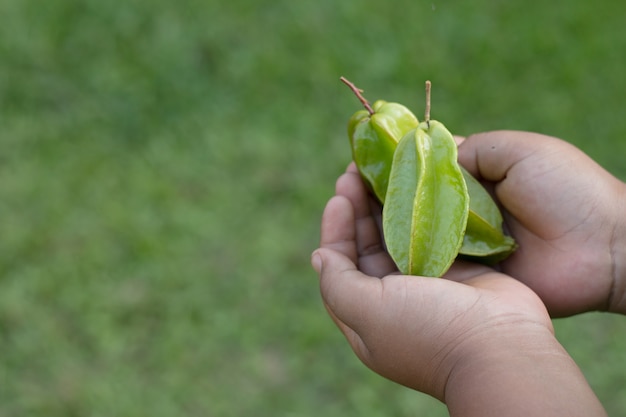 Mano che tiene frutta della stella-mela con priorità bassa naturale fresca verde