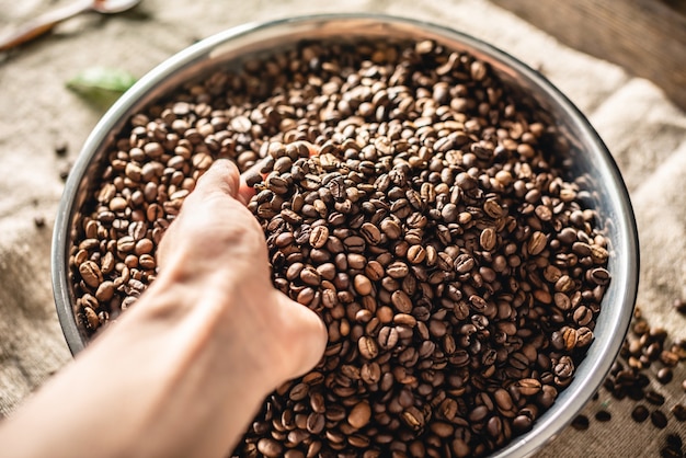 Mano che tiene i chicchi di caffè Arabica aromatici appena tostati