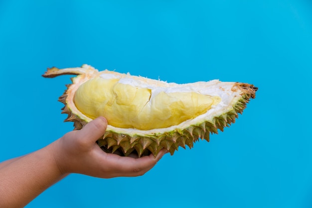 Mano che tiene il durian su uno sfondo blu.