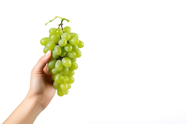 Mano che tiene il grappolo d'uva verde isolato su sfondo bianco con spazio per la copia