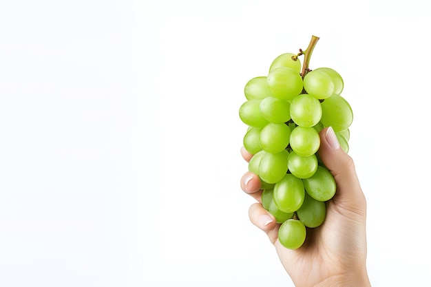 Mano che tiene il grappolo d'uva verde isolato su sfondo bianco con spazio per la copia