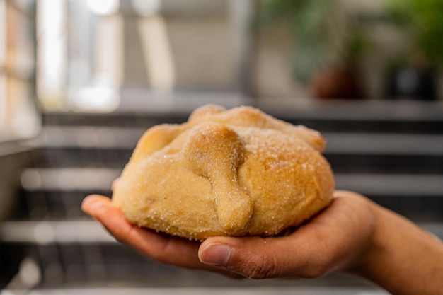 Mano che tiene il pane dei morti, sfocatura dello sfondo. Pan de Muertos.