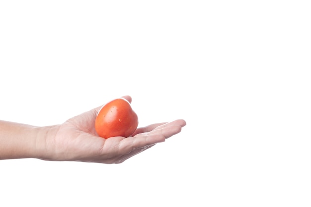 Mano che tiene il pomodoro fresco di prugne