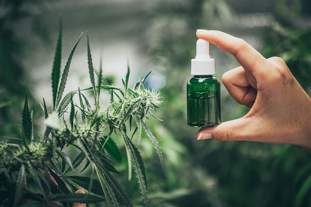 mano che tiene la bottiglia di olio di cannabis