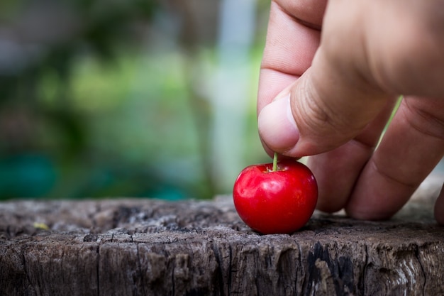 Mano che tiene la ciliegia di frutta tailandese