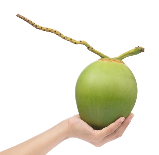 mano che tiene la frutta di cocco verde isolato su sfondo bianco