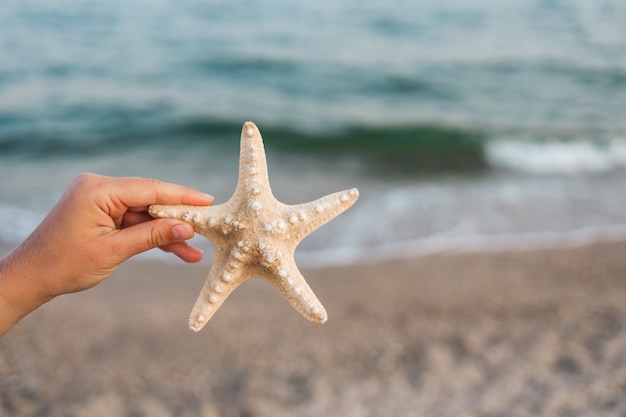 Mano che tiene le stelle marine con la bellissima isola tropicale della spiaggia di sabbia di estate, concetto di mare blu di estate di vacanza rilassante.