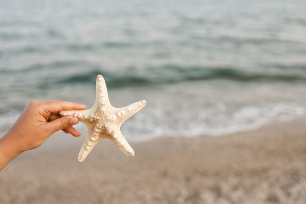 Mano che tiene le stelle marine con la bellissima isola tropicale della spiaggia di sabbia di estate, concetto di mare blu di estate di vacanza rilassante.