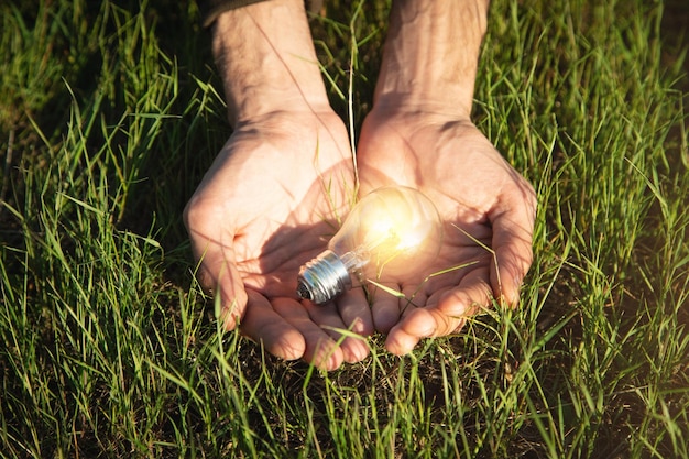 Mano che tiene una lampadina su uno sfondo di erba verde Concetto di elettricità verde